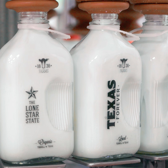 1836 Farms Milk Jugs on the production line